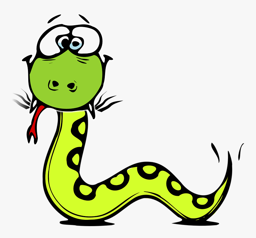 Wildlife Crime - Snake Clipart No Background, HD Png Download