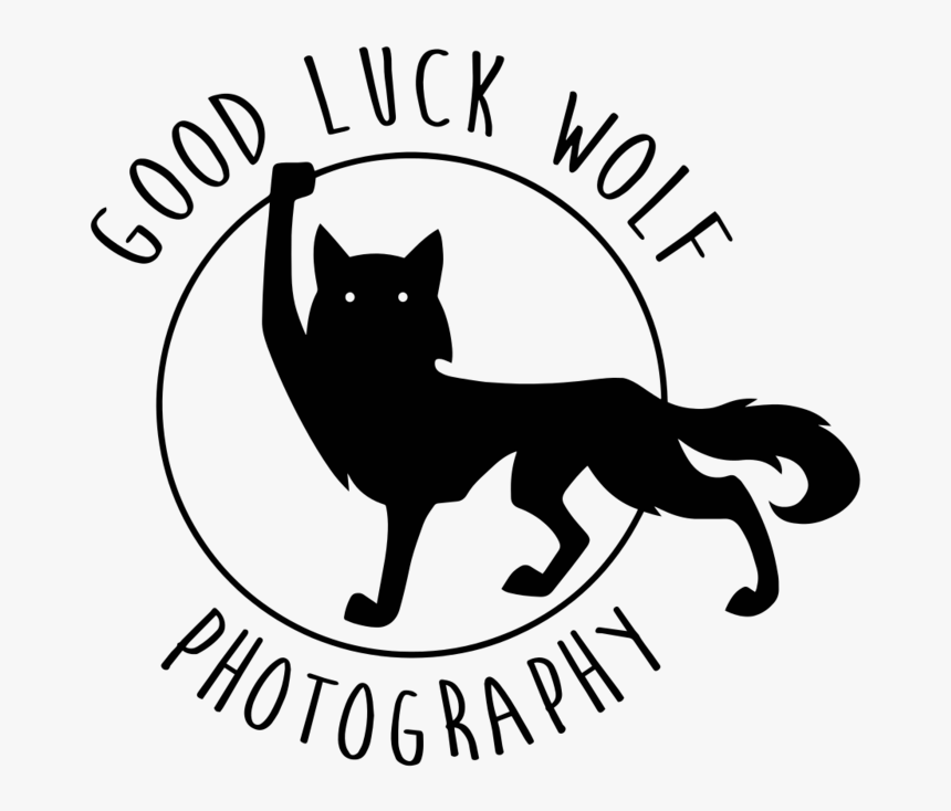 Photography Wolf Logo, HD Png Download