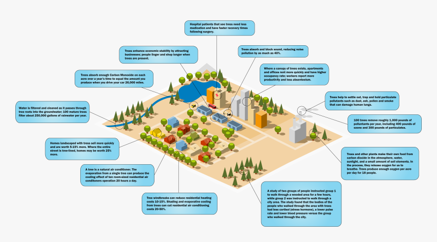 Ostvig Tree Invest Infographic - Plan, HD Png Download