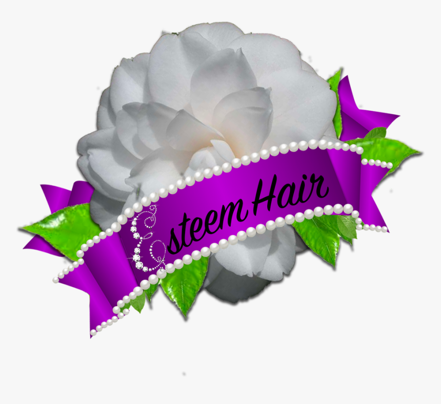 Rose, HD Png Download