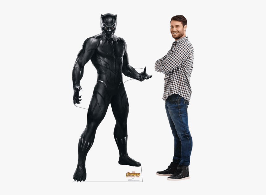 Picture 1 Of - Black Panther Full Suit, HD Png Download