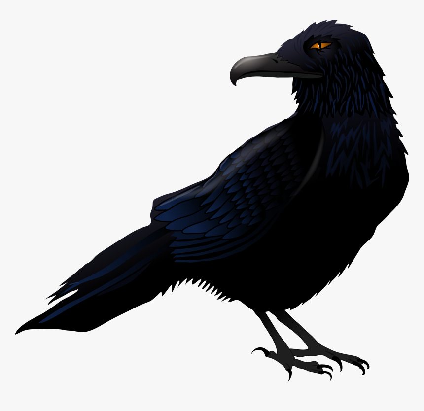 Haunted Png Vector Art - Transparent Background Raven Clipart, Png Download
