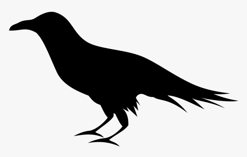 Raven Transparent Png Clipart Free Download - Raven Clipart Png, Png Download