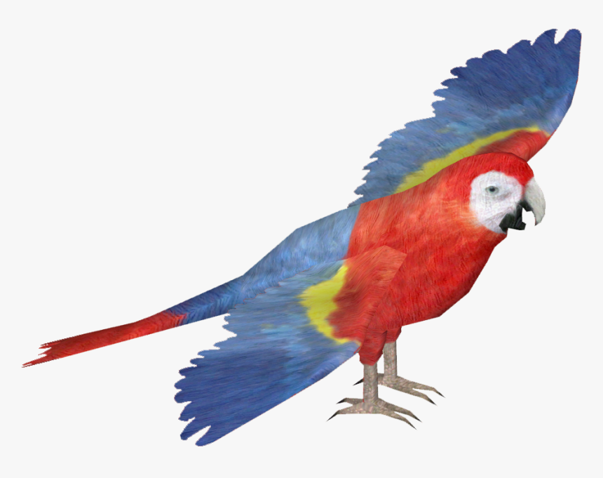 Transparent Macaw Png - Zt2 Macaw, Png Download