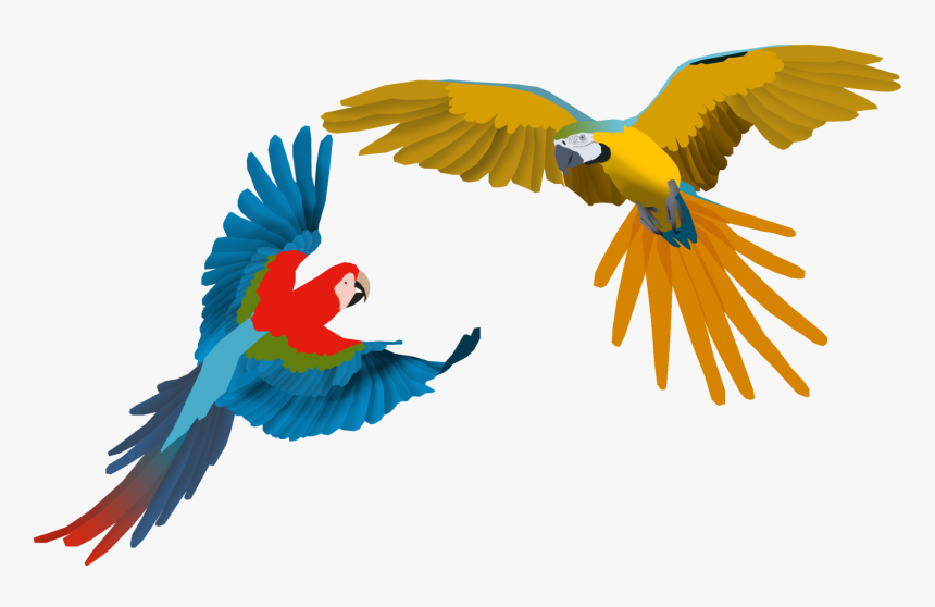 Flying Macaw Png, Transparent Png