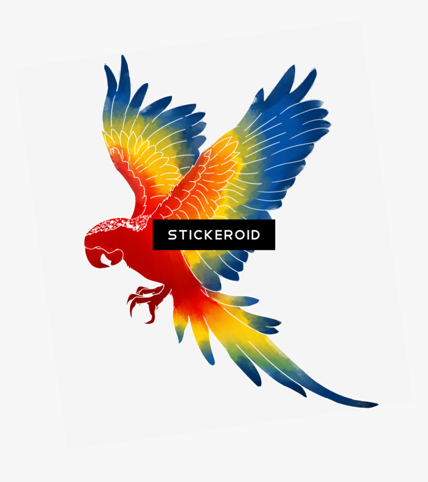 Macaw Png , Png Download - Clipart Macaw Png, Transparent Png