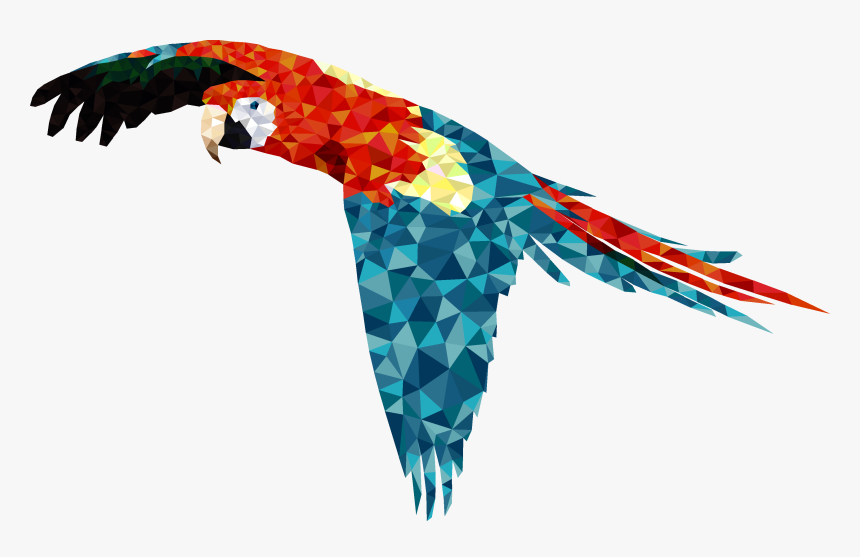 Scarlet Macaw-digital Sketches Showflipper - Macaw, HD Png Download