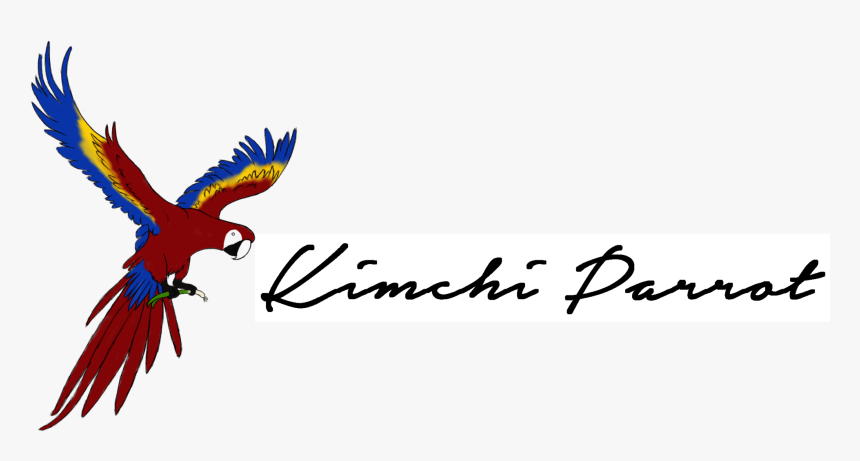 Macaw , Png Download - Macaw, Transparent Png