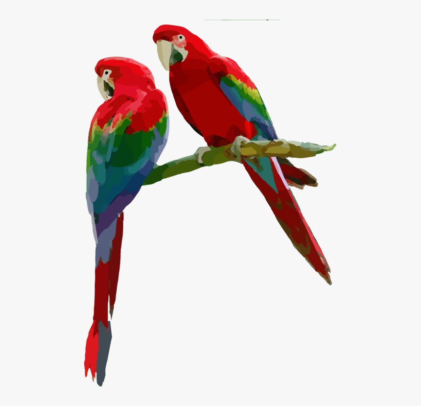 Macaw,parrot,budgie - Scarlet Macaw Png, Transparent Png