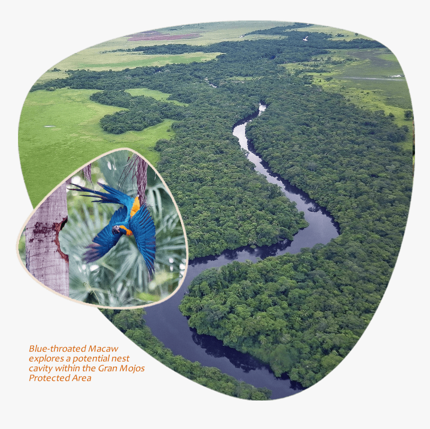 Gran Mojos Protected Area - Aerial Photography, HD Png Download