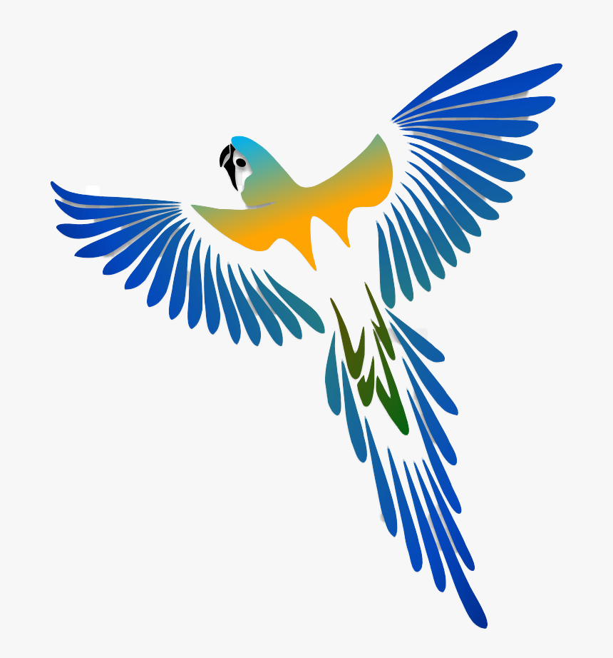 Laura S Adorable Macaw Parrots - Bird Tattoo Drawing, HD Png Download
