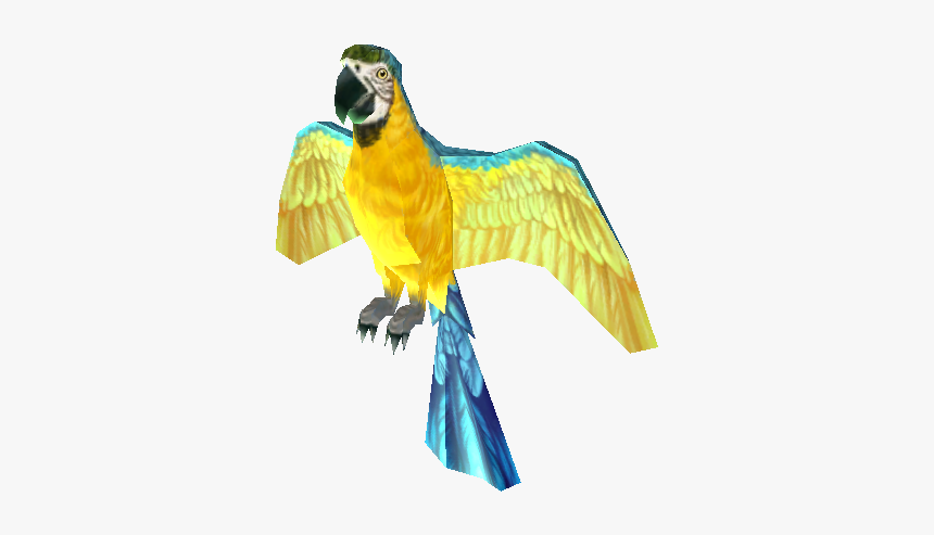 Download Zip Archive - Macaw, HD Png Download