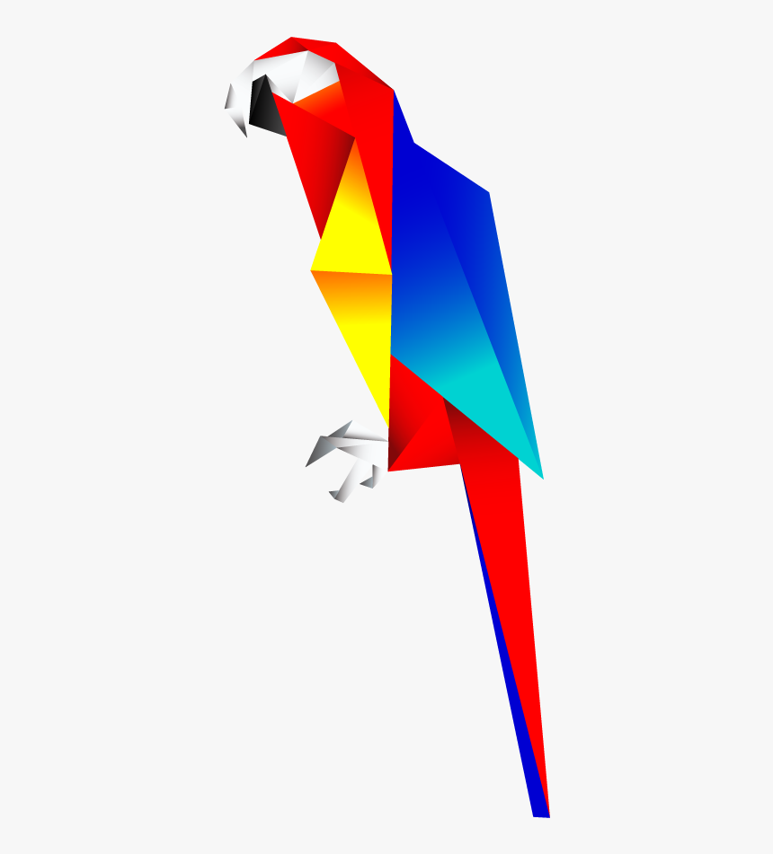Scarlet Macaw Clipart Transparent - Illustration Macaw Png, Png Download