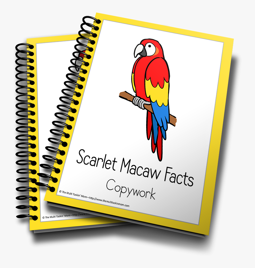 1st Communion Banner Gates, HD Png Download