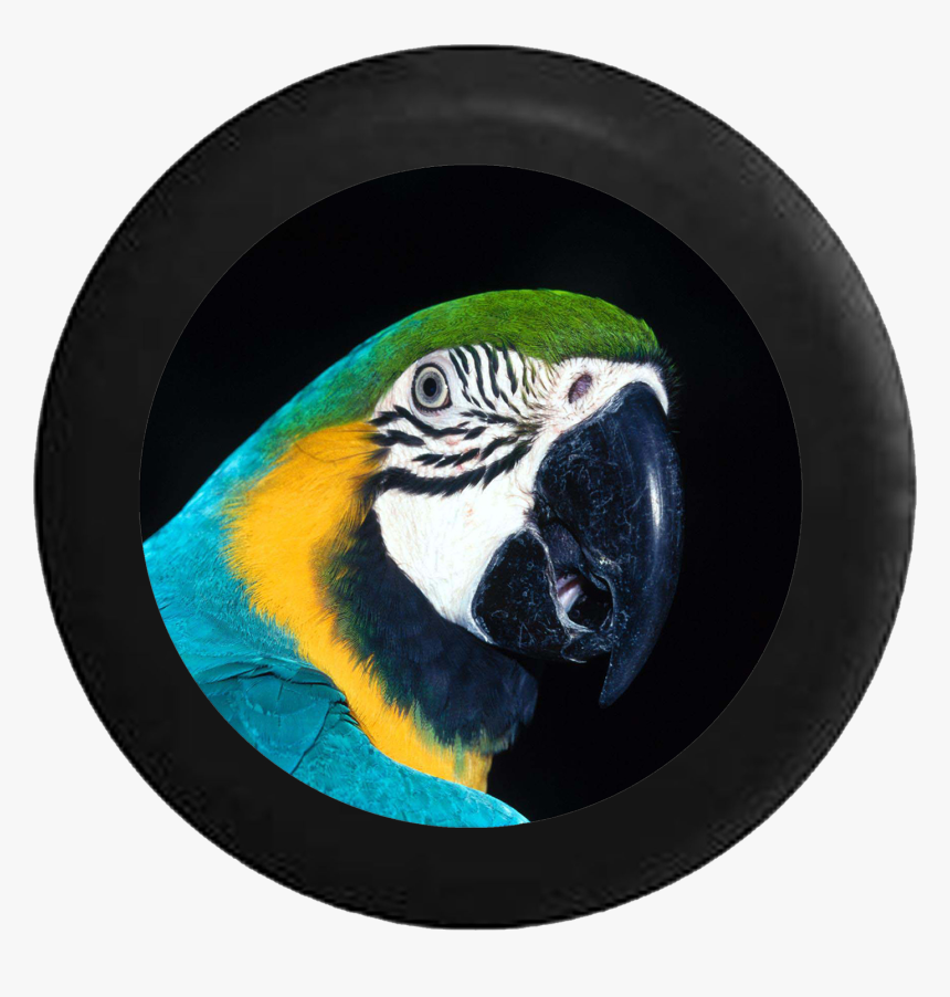 Spare Tire Cover Parrot Macaw Tropical Colorful Bird - Jungle Theme Makeup, HD Png Download