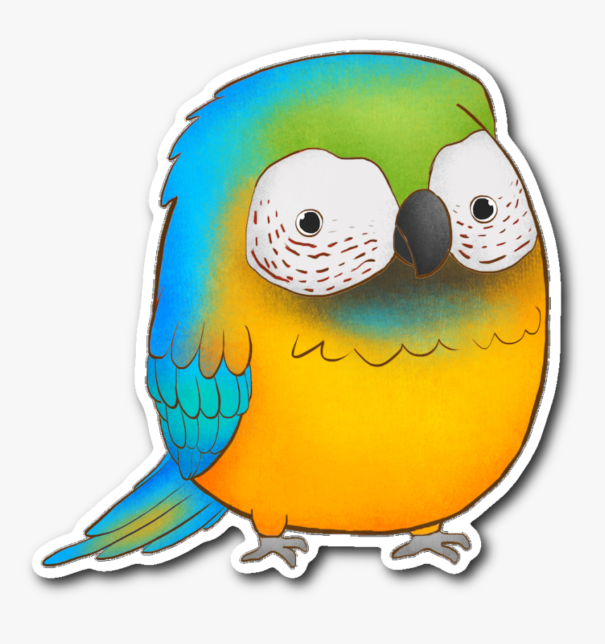 Blue Macaw Sticker - Budgie, HD Png Download