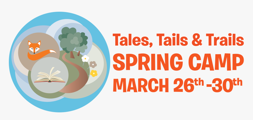 Personal Training Voucher, HD Png Download