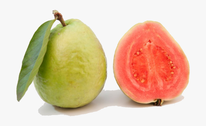 red guava png transparent image common guava png download transparent png image pngitem red guava png transparent image