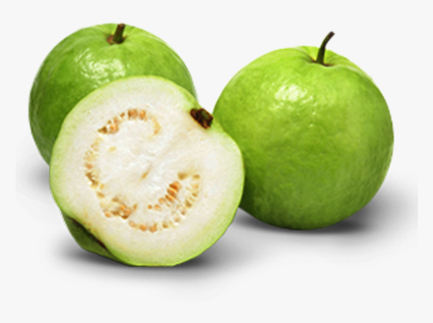 Indian Guava , Png Download - Allahabad Safeda Guava Variety, Transparent Png