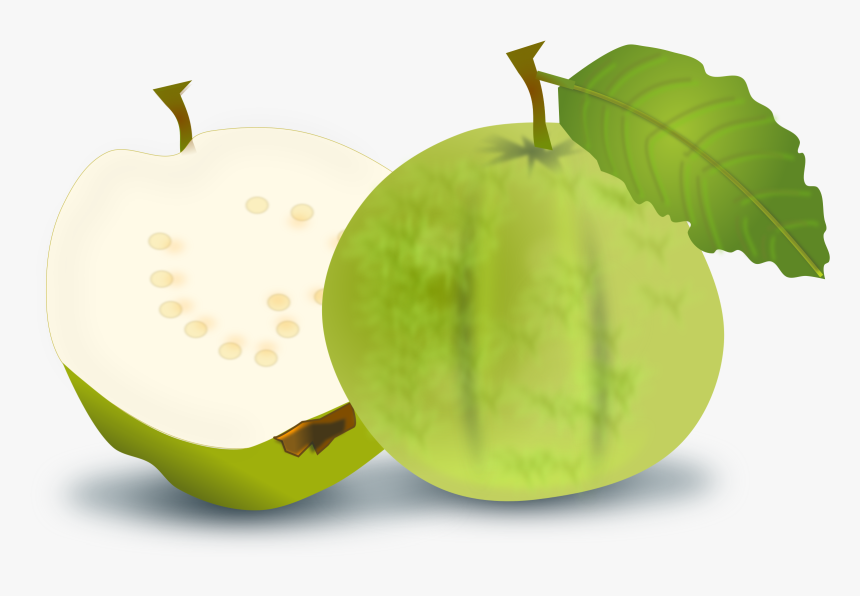 Clipart Guava, HD Png Download