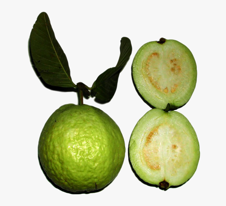Green Guava Png Image - Green Fruit With White Seeds Inside, Transparent Png