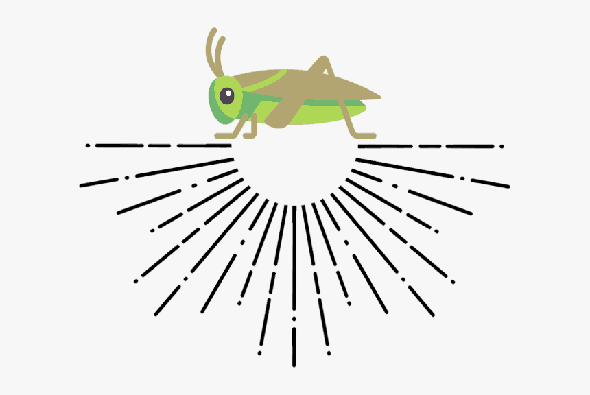 Fit Cricket - Cricket Protein, HD Png Download