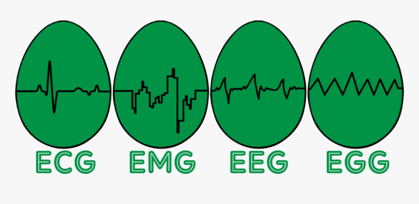 Circle, HD Png Download