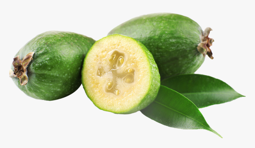 Transparent Png Feijoa Png, Png Download