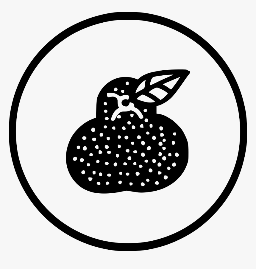 Kitchen Fruit Guava Amrood Helthy Fresh - Line Art, HD Png Download