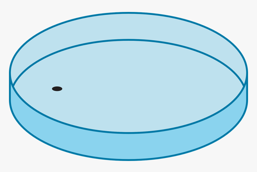 Чашка Петри Рисунок, HD Png Download