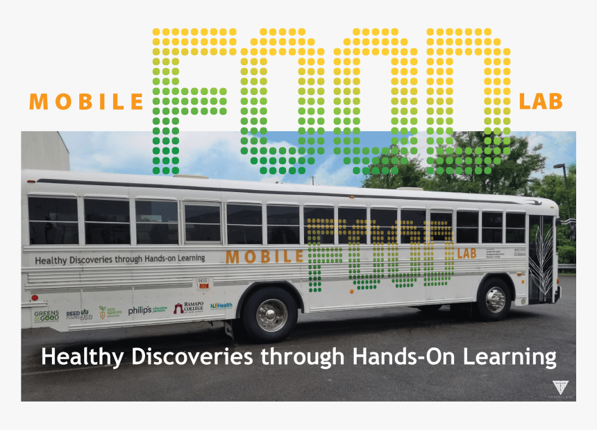 Transparent Chemistry Lab Png - School Bus, Png Download