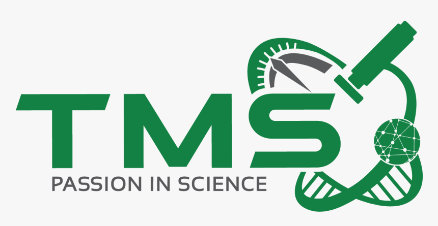 Amila - Graphic Design, HD Png Download