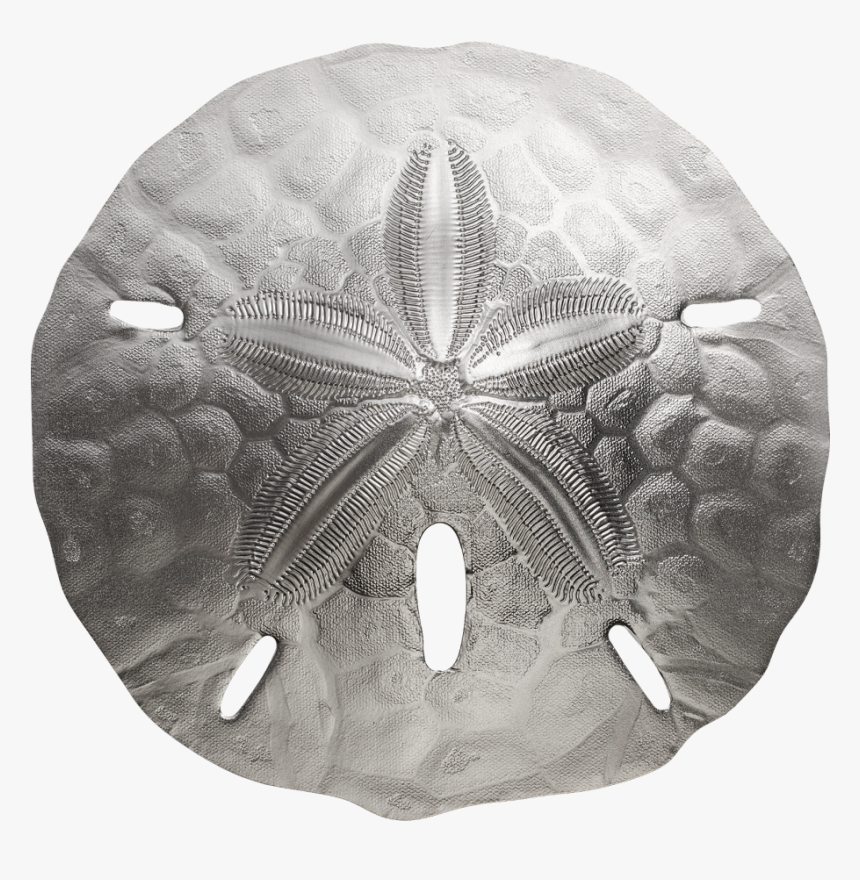 Sand Dollar, HD Png Download