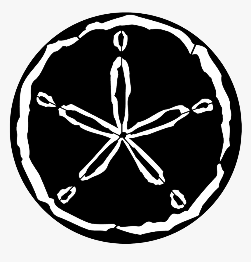 Apollo Sea Sand Dollar - Circle, HD Png Download