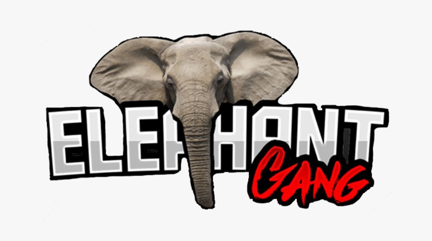 Elephant Ganglogo Square - Indian Elephant, HD Png Download