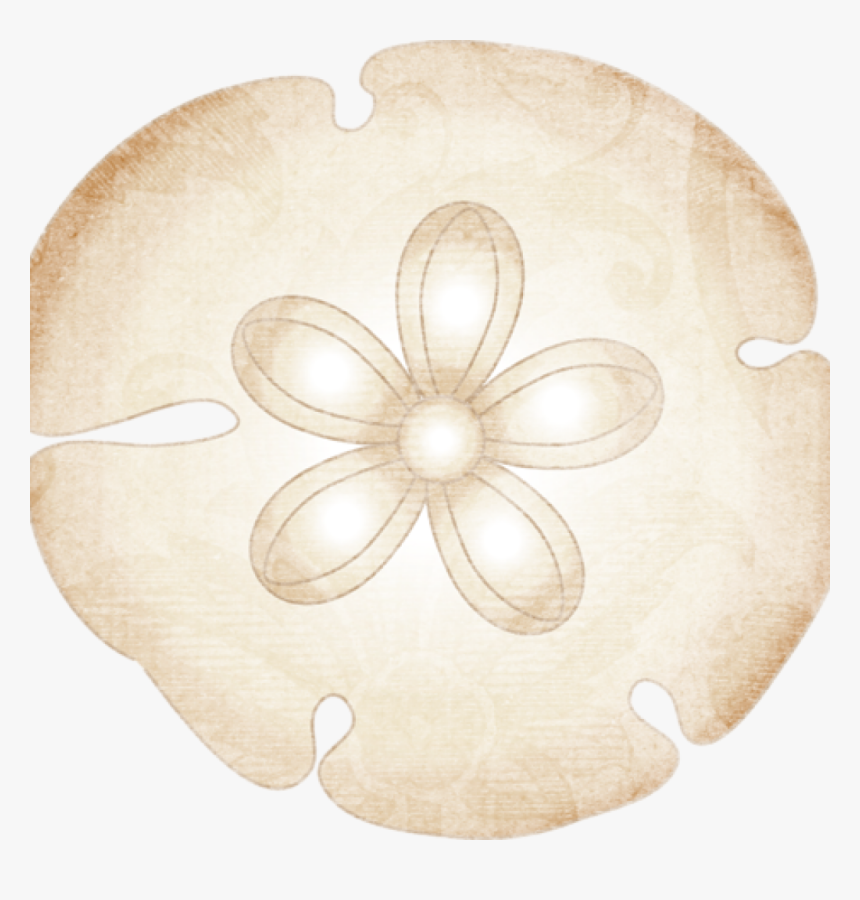 Clip Art Owl Hatenylo - Motif, HD Png Download