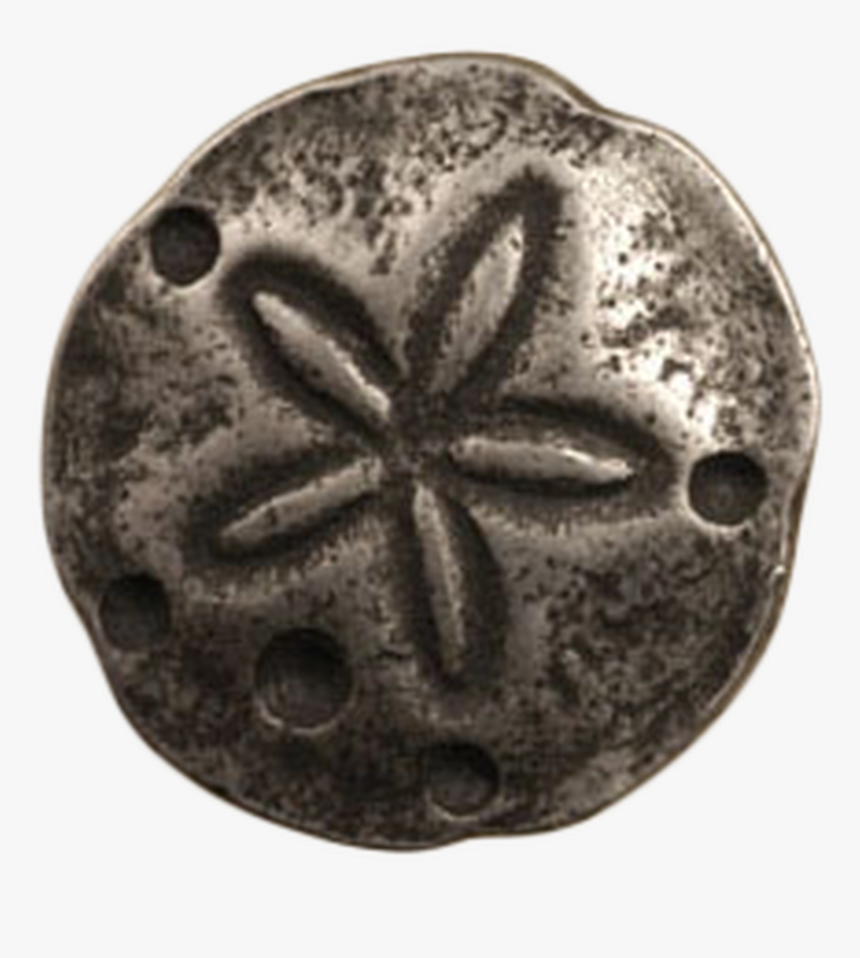 Sand Dollar Knob - Cabinet Handles Sea Shells, HD Png Download