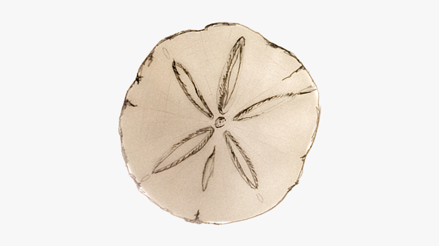 Sand Dollar Png, Transparent Png