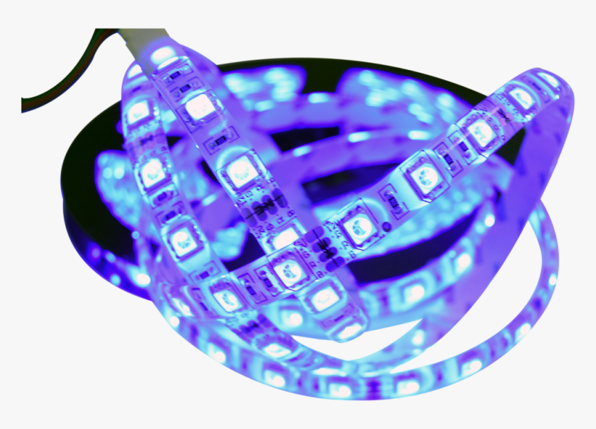 Bracelet, HD Png Download