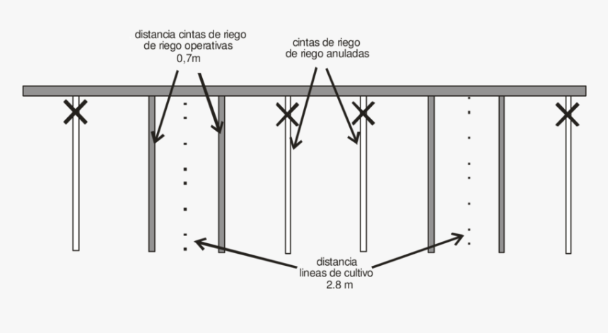 Distancia Riego Por Goteo, HD Png Download