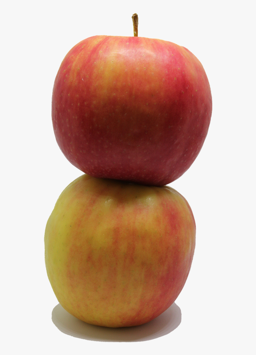 Apple Fruit Png Free Photo - Mcintosh, Transparent Png