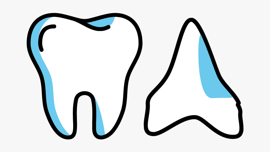 Dentistry, HD Png Download