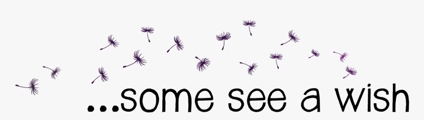 Dandelions Seeds Transparent Png, Png Download