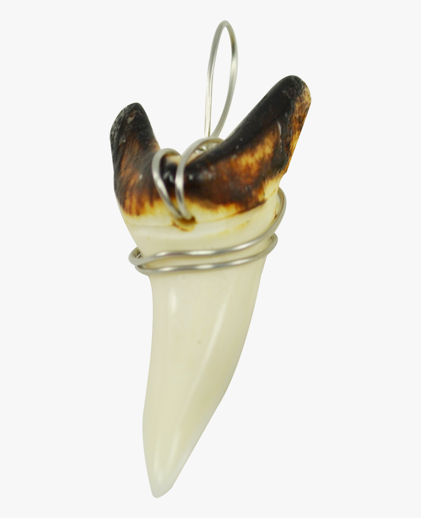 Shark Teeth Burnt Silver Wired - Ice Cream, HD Png Download