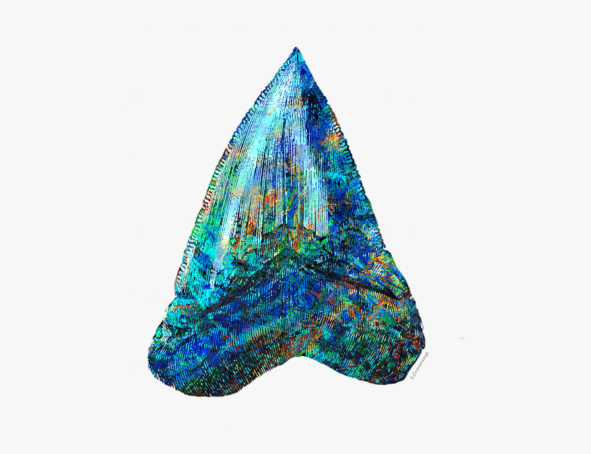 Blue Shark Tooth Art By Sharon Cummings, HD Png Download