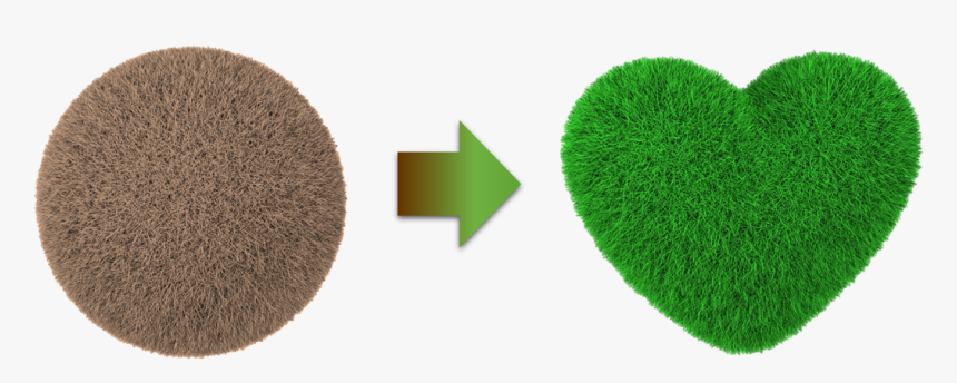 Lawn, HD Png Download