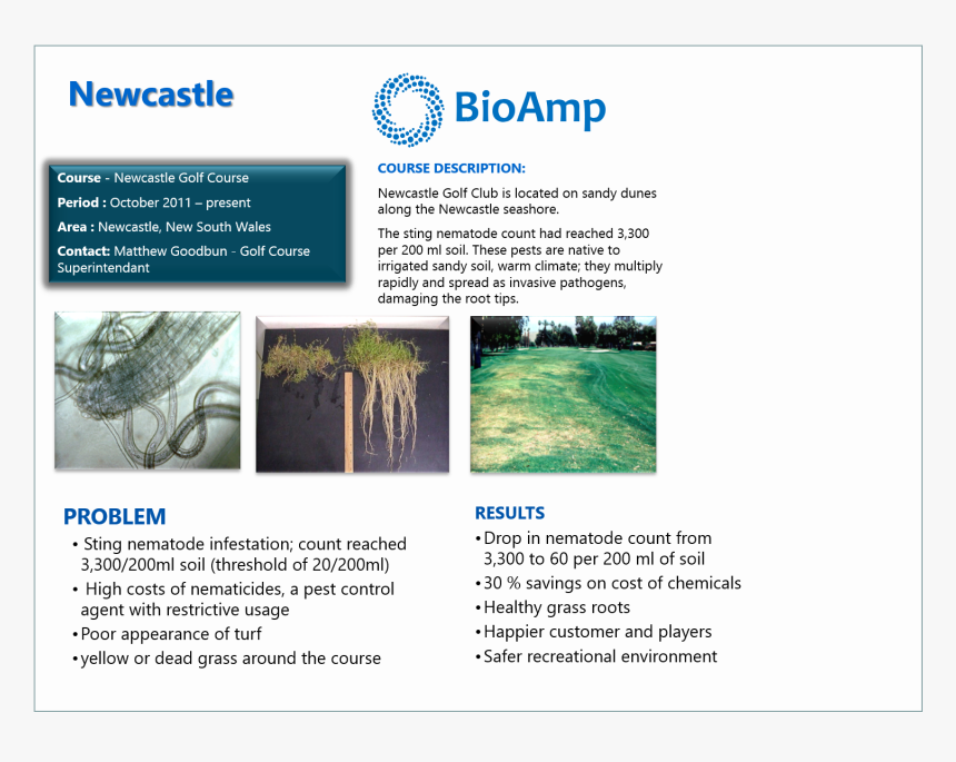 Sting Nematode, HD Png Download