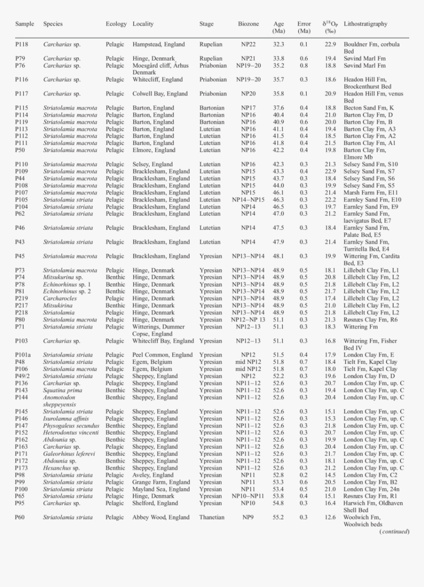 Document, HD Png Download