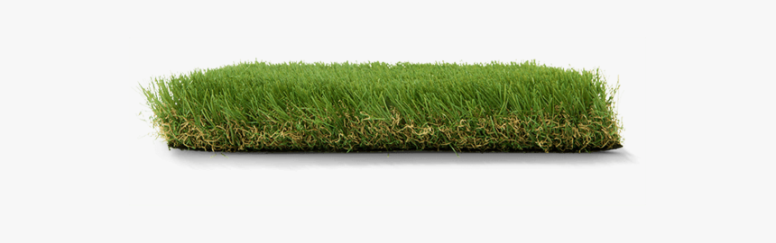 Lawn, HD Png Download