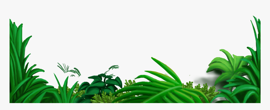 Flower Overlays Png - Jungle Flowers Png, Transparent Png